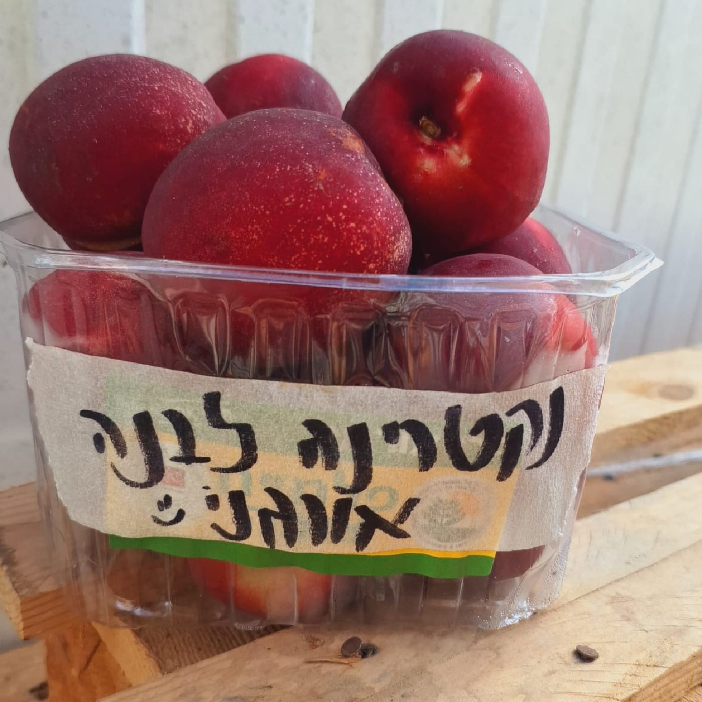 נקטרינה לבנה ארקטיק פטרייד אורגנית