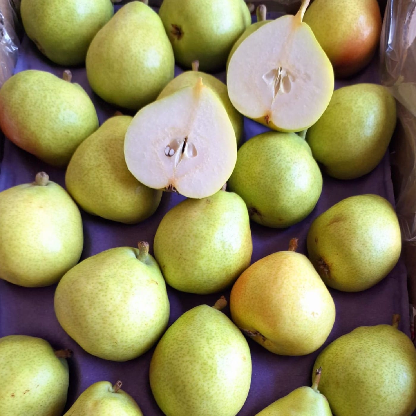 אגסי אנג'ו אורגני