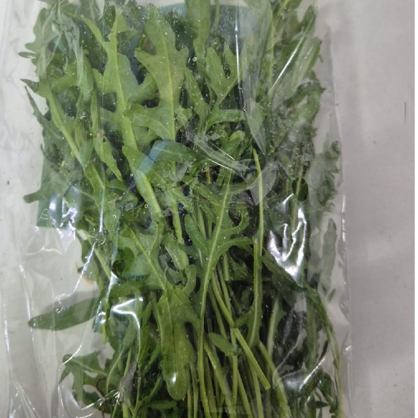 אורוגולה (רוקלה) אורגנית שקית