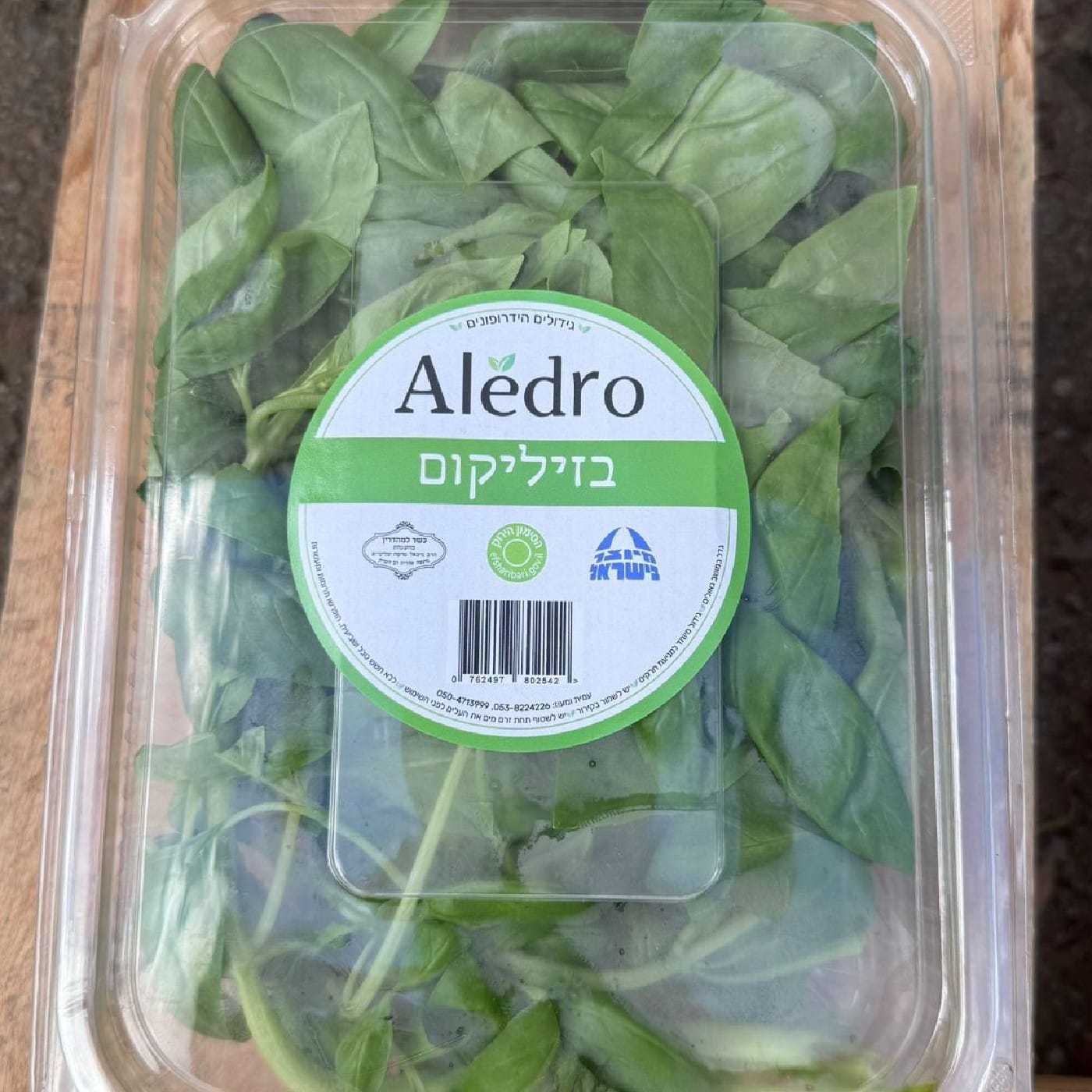 בזיליקום הידרופוני