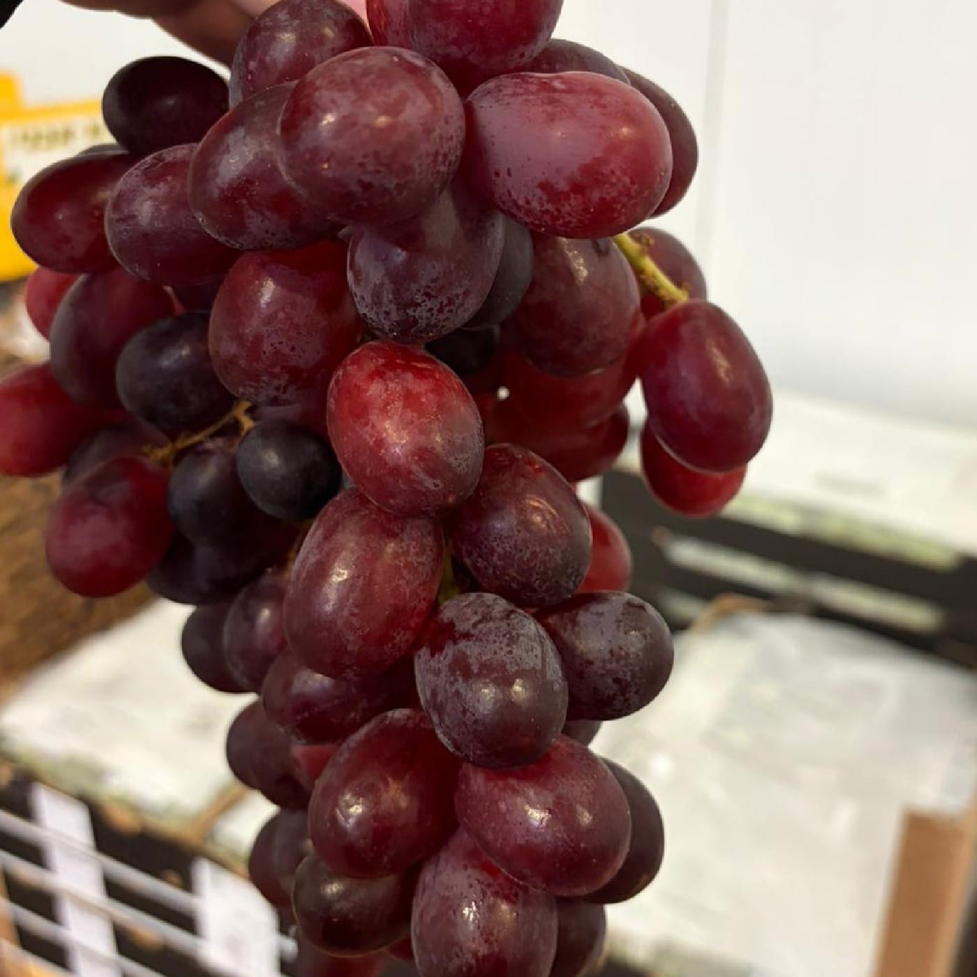 מארז ענבים סגולים 