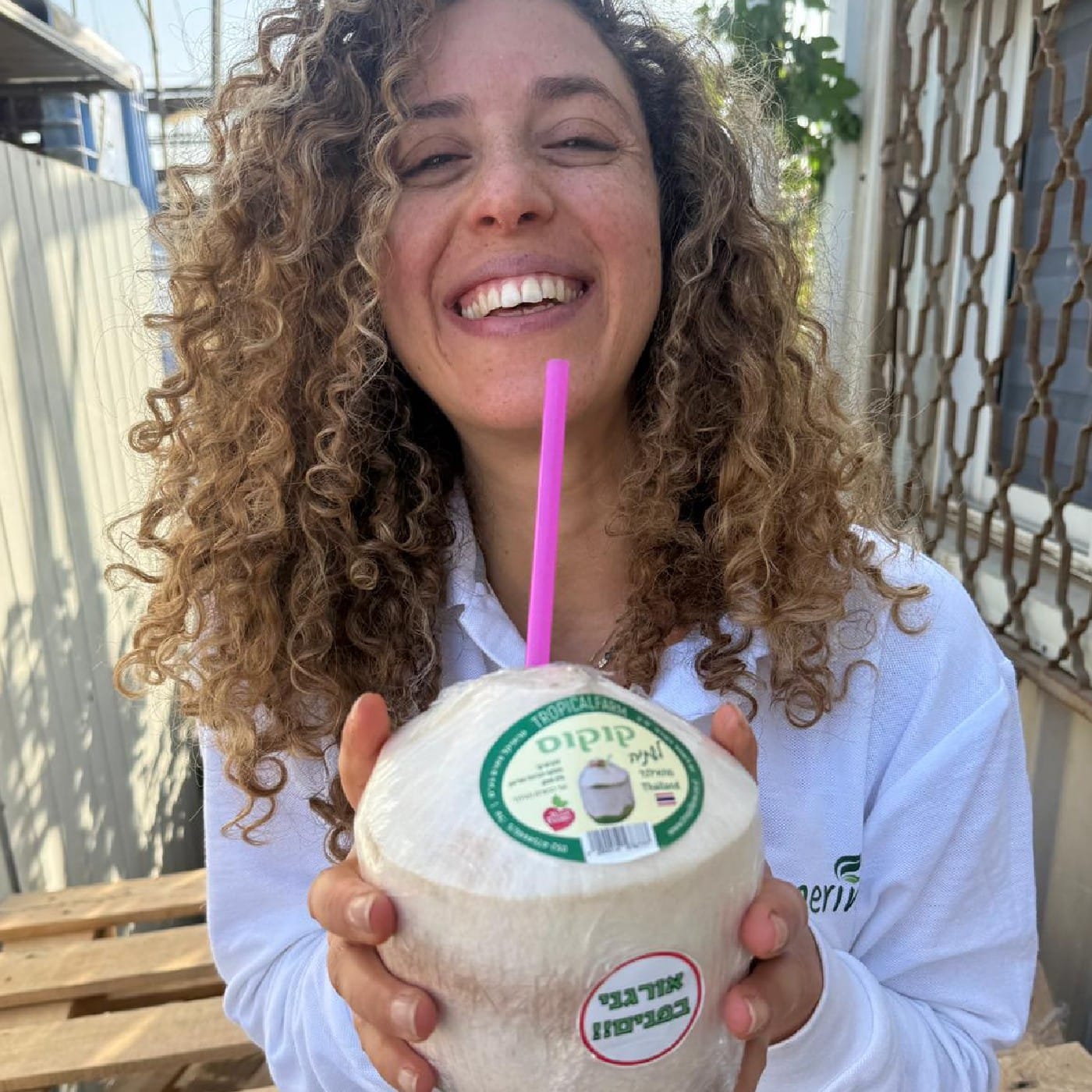 קוקוס תאילנדי לשתיה