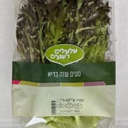 סוג של עולש (אנדיב) איטלקי