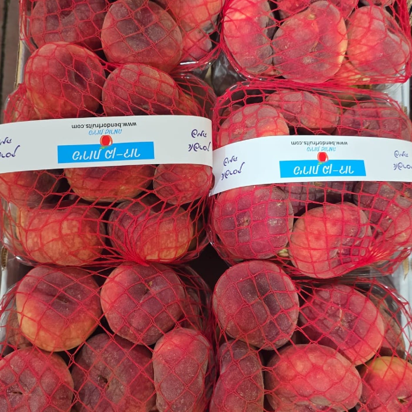 אפרסק פיתה