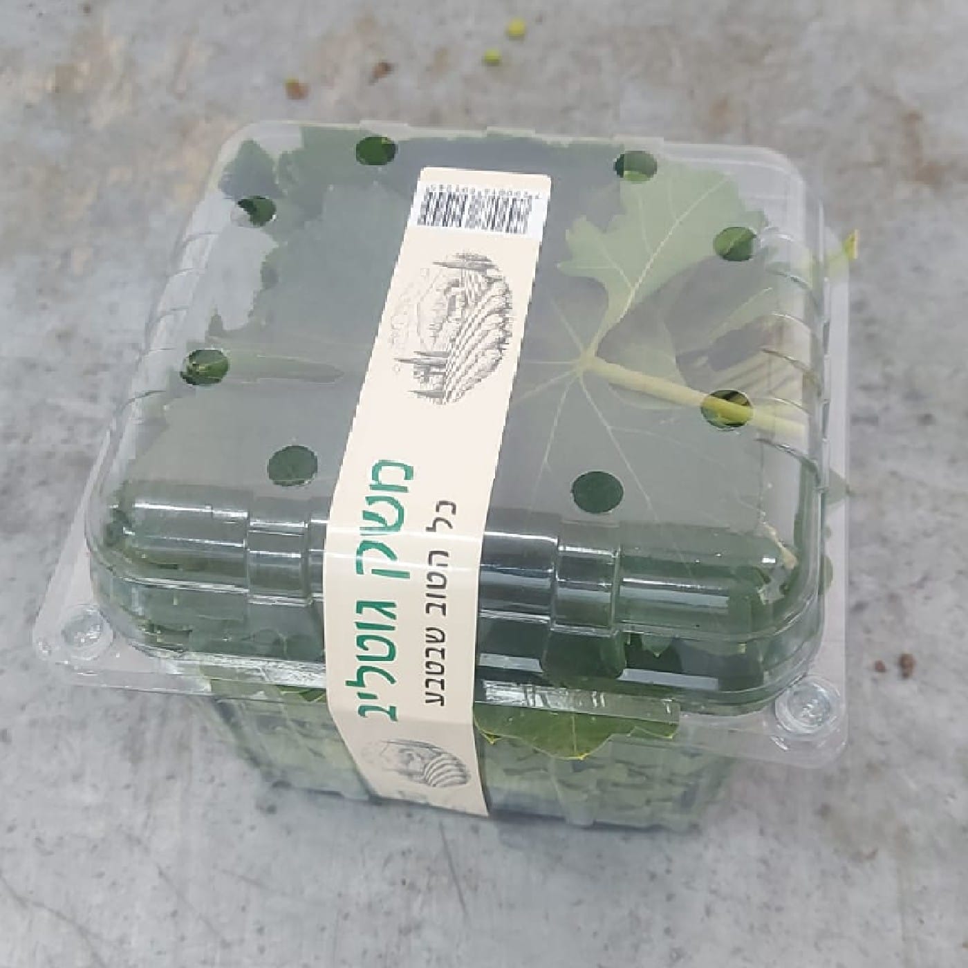 עלי גפן טריים