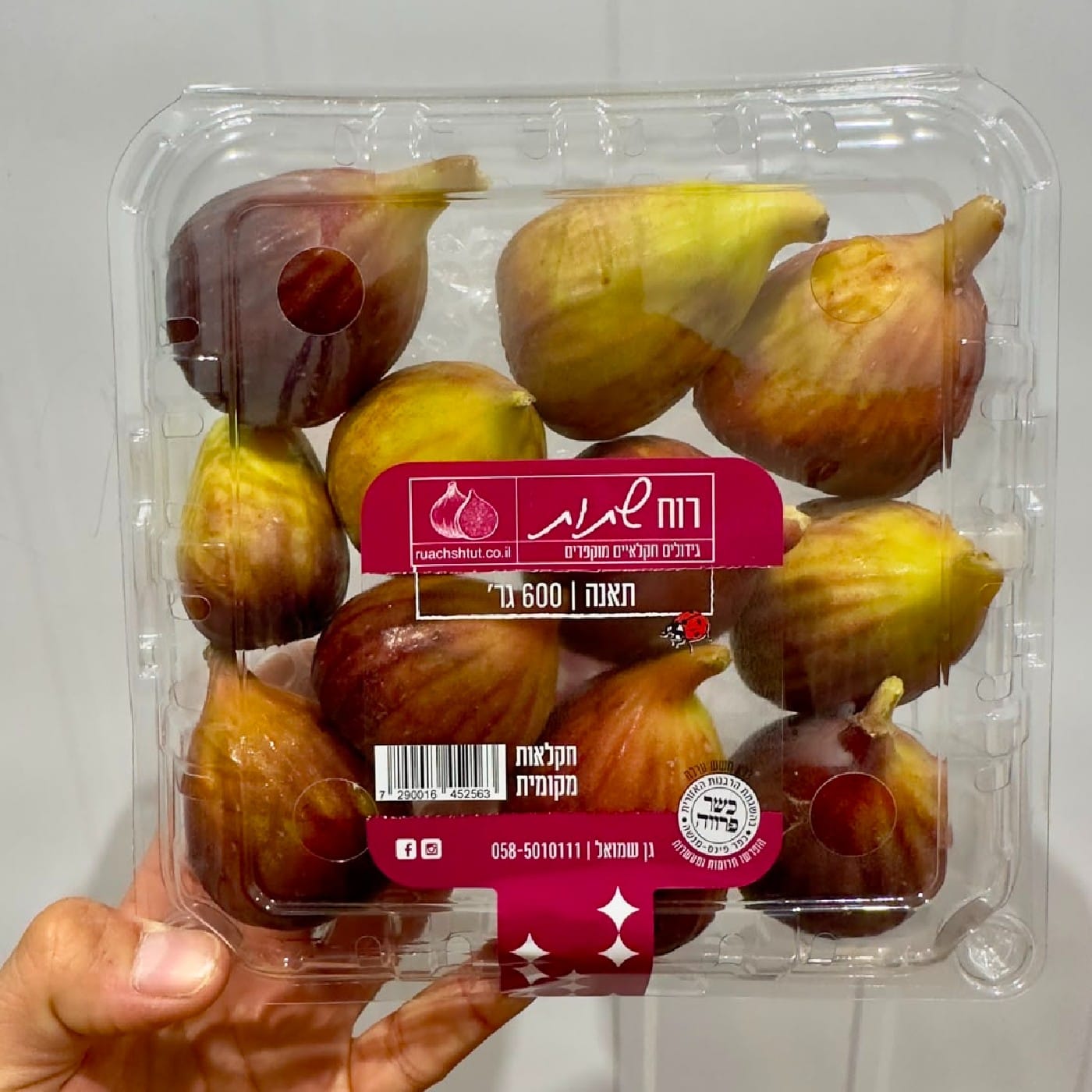 תאנים ברזילאיות