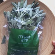ניחוח משגע