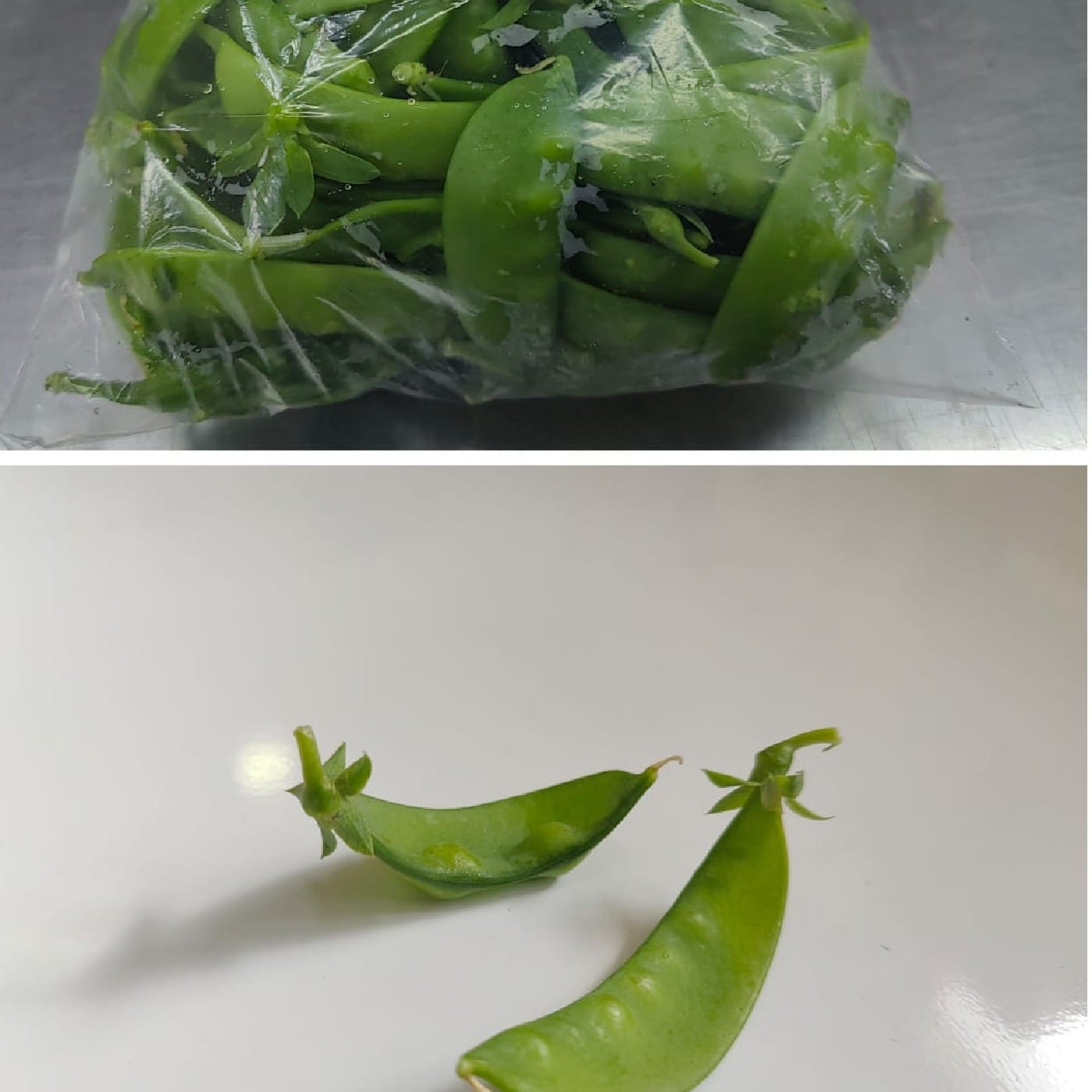 מארז אפונת שלג