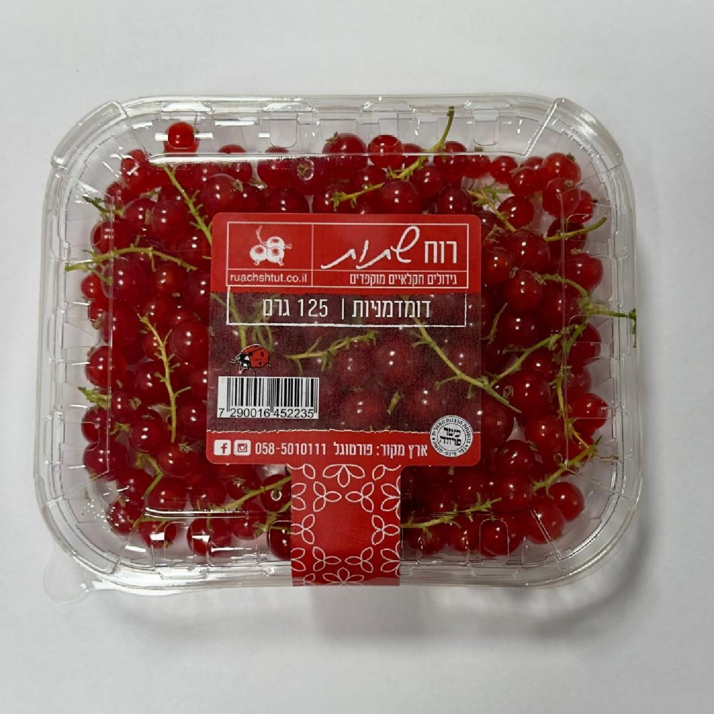 מארז דומדמניות אדומות יבוא מארז 125 גר'