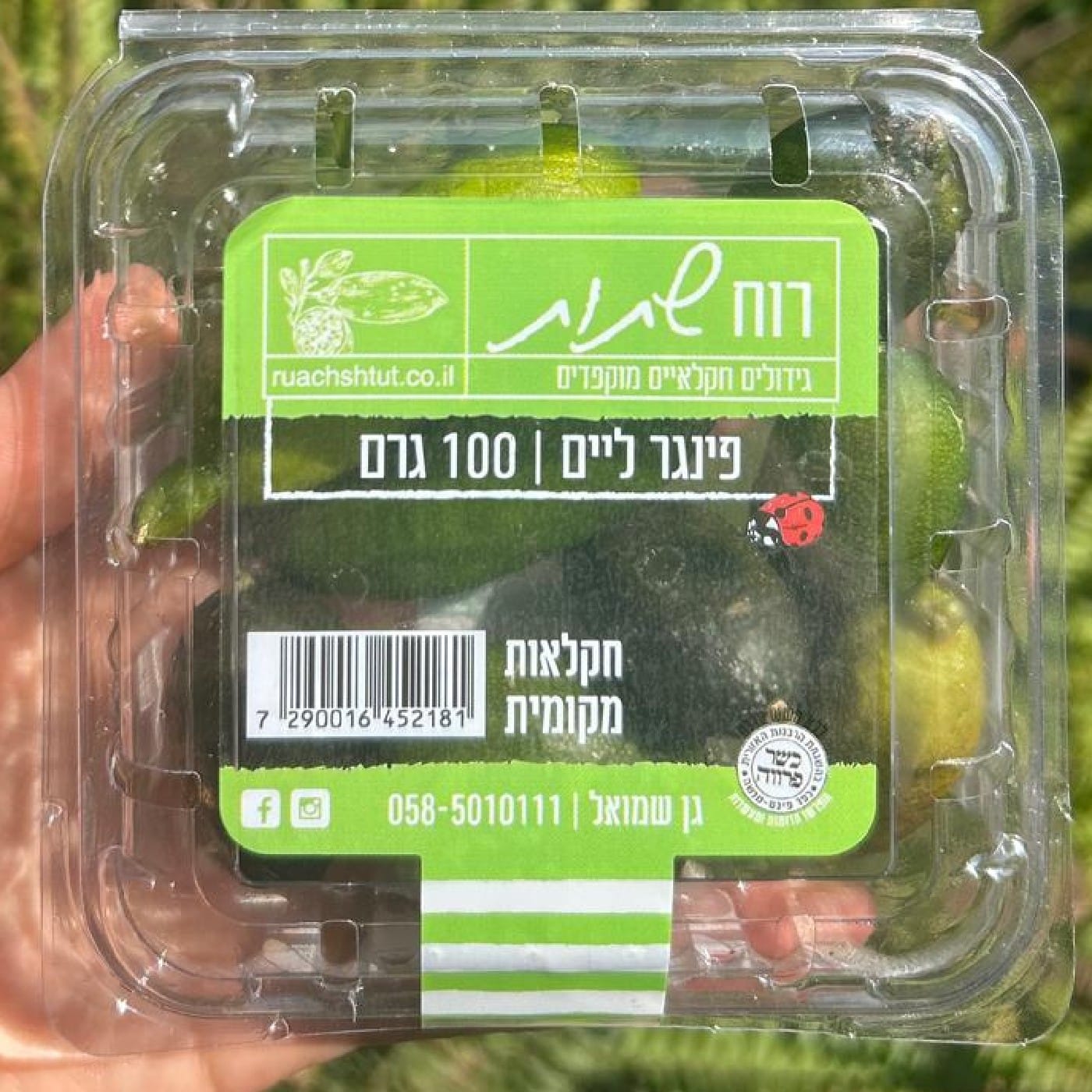 פינגר ליים - קוויאר