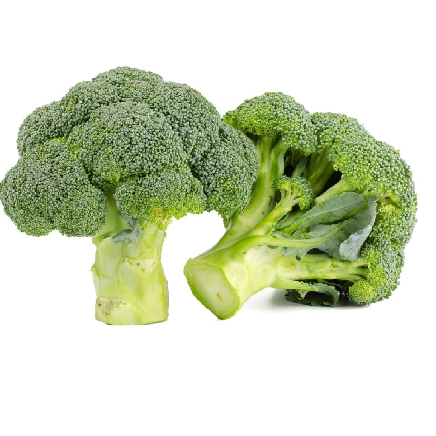 ראש ברוקולי מהדרין