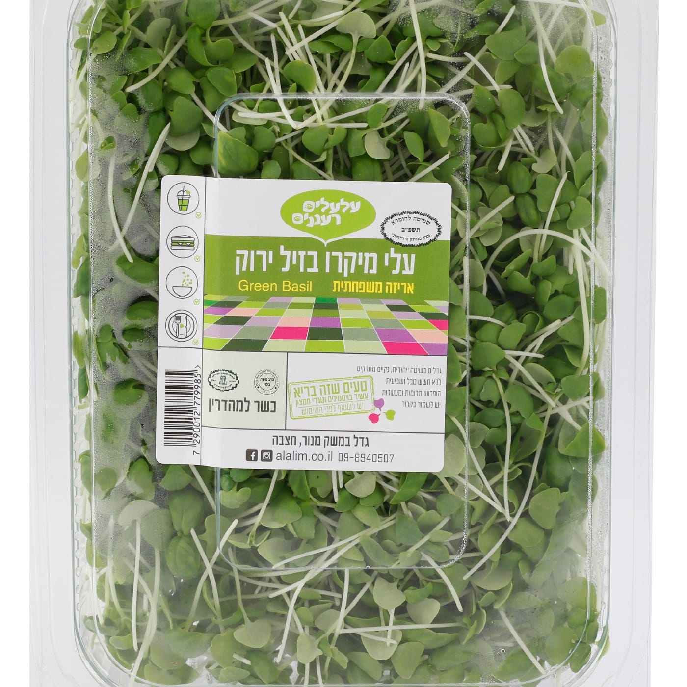 עלי מיקרו בזיל ירוק מארז XL