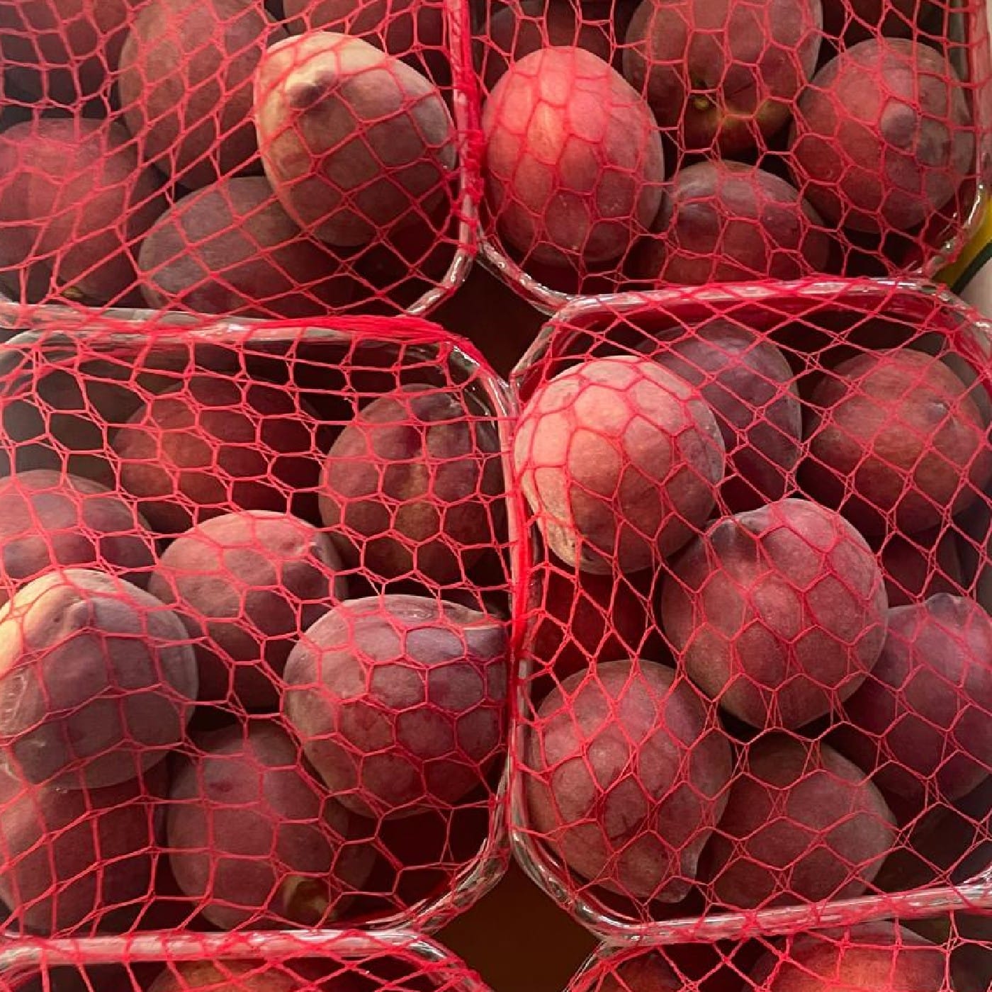 אפרסק לבן עודד