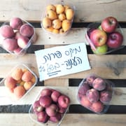 3-4 מיני פירות שונים: בננה, תפוח, אגס, נקטרינה, אפרסק, שזיף, משמש, שסק, קיווי ועוד. בהתאם למ