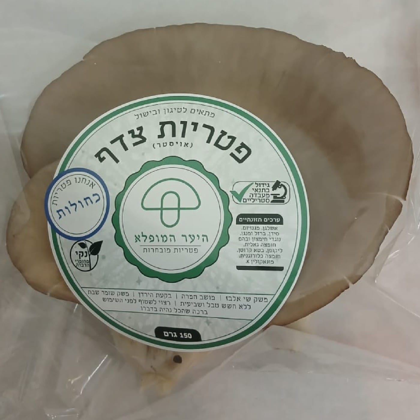 פטריות אויסטר 
