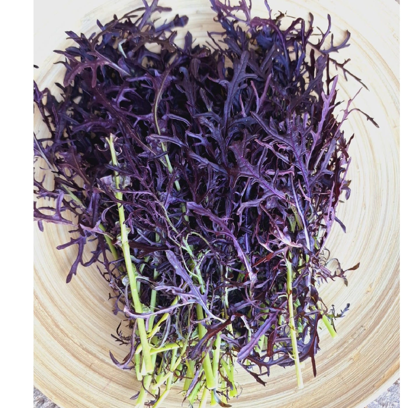 מיזונה אדומה אורגנית מארז