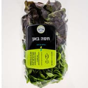 פיקוח הלכתי בנושא חרקים. כ-170 ג'. משפחת חסה חמאה. טעם נפלא ומרקם עדין
