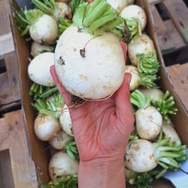 מתוקה, חריפה ורעננה!