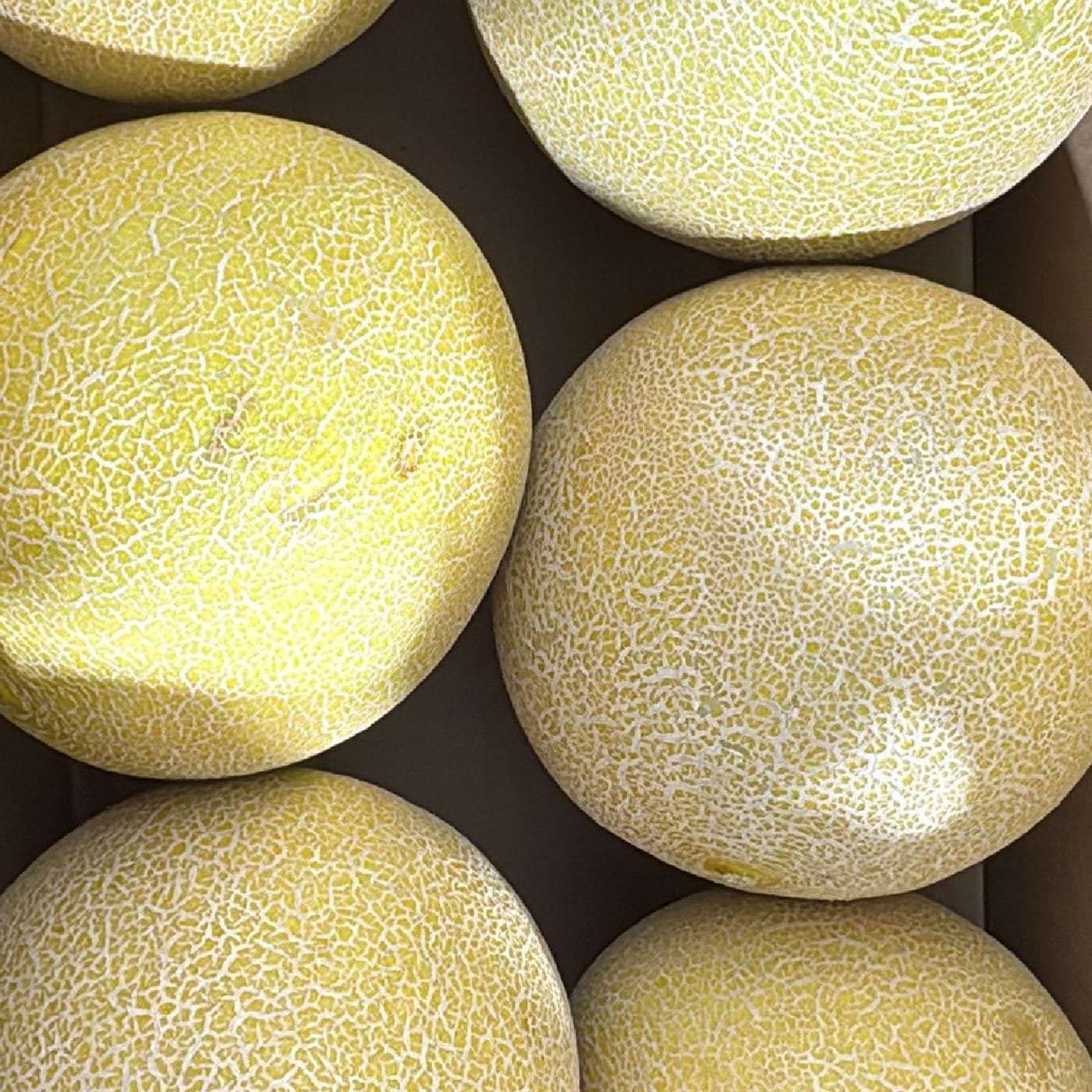 מלון ירוק מזן 