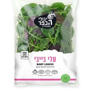 כ-500 ג'. נקי מחרקים
