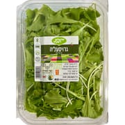 עלי חסה צעירים, גדלים השיטה ייחודית. לרוב ירוקים. לעיתים עם עלים סגלגלים