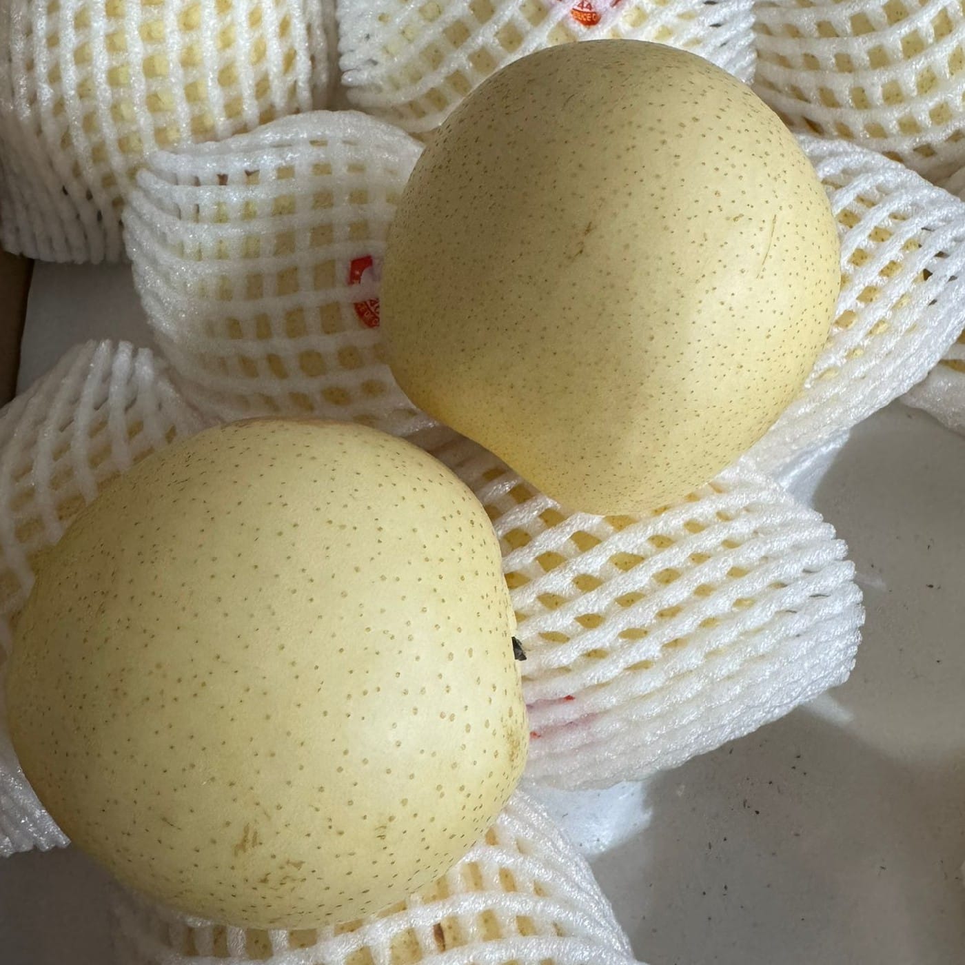 אגס נאשי יבוא