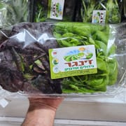 2 יחידות