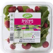 גירסה קטנה ויפה של צנונית שגודלה כגודל ציפורן ועלעלים קטנים.