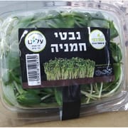 מארז כ- 120 ג'. בפיקוח הלכתי בנושא חרקים