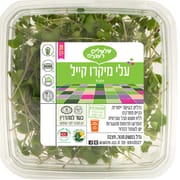 שם מדעי: Brassica oleracea acephala; ידוע גם כעלי כרוב מסולסל). תת-מין של כרוב הבר.