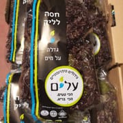 פיקוח הלכתי בנושא חרקים. מארז כ-150 ג'