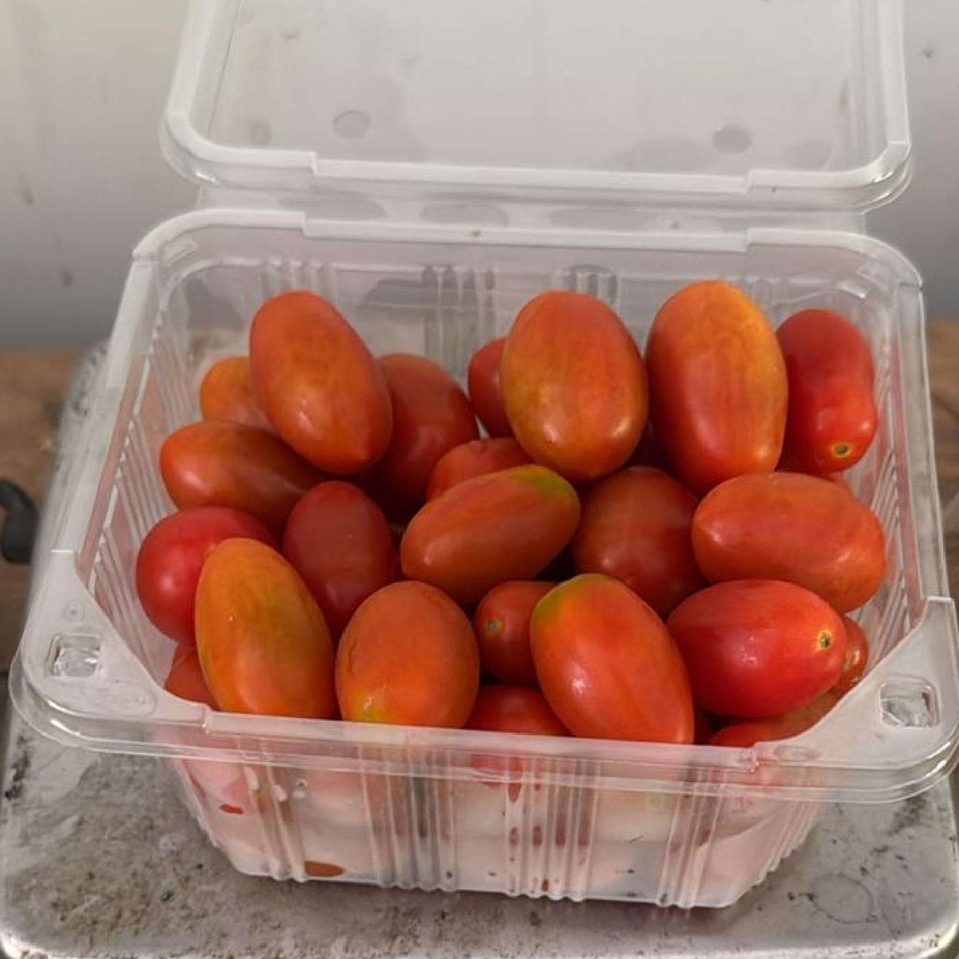 עגבניות שרי בלינדה