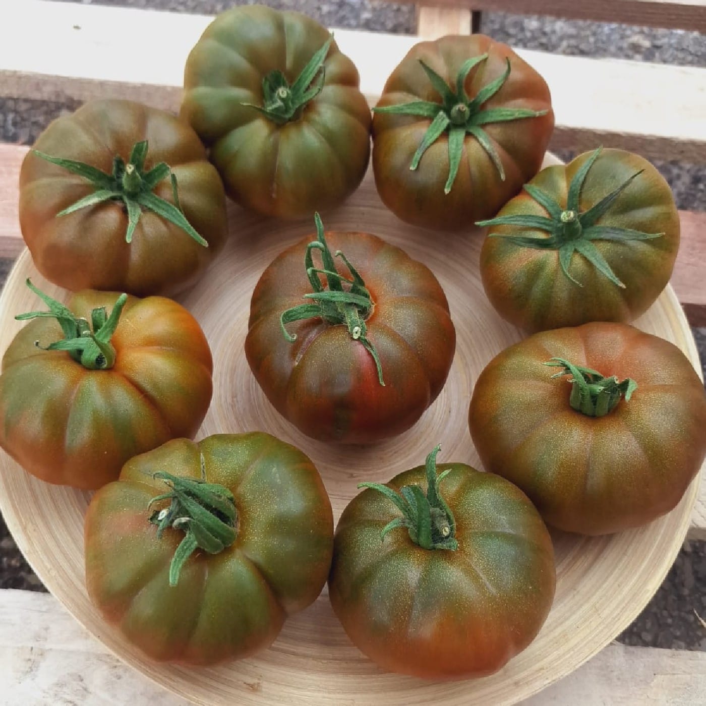 עגבניות ביף סטייק RAF ליקופן אורגניות