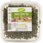 עלי קורנית קטנים ועדינים עם מרקם של עשב תיבול שמציע טעם ים תיכוני עשיר ומגוון.