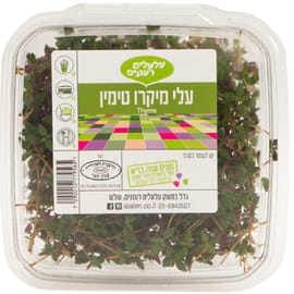 עלים קטנים ועדינים עם מרקם של עשב תיבול שמציע טעם ים תיכוני עשיר ומגוון.