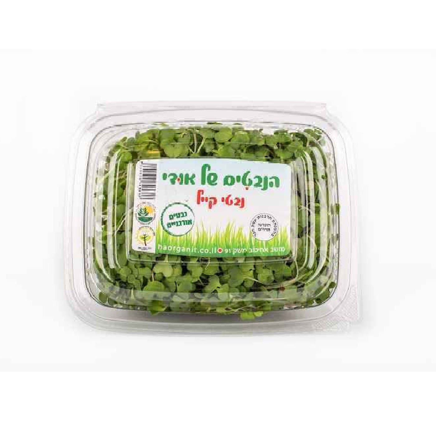 נבטי קייל אורגנים