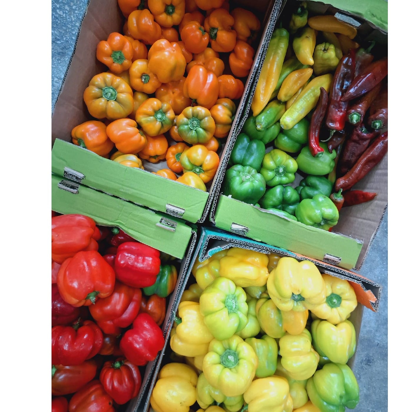 מיקס פלפלים לבישול