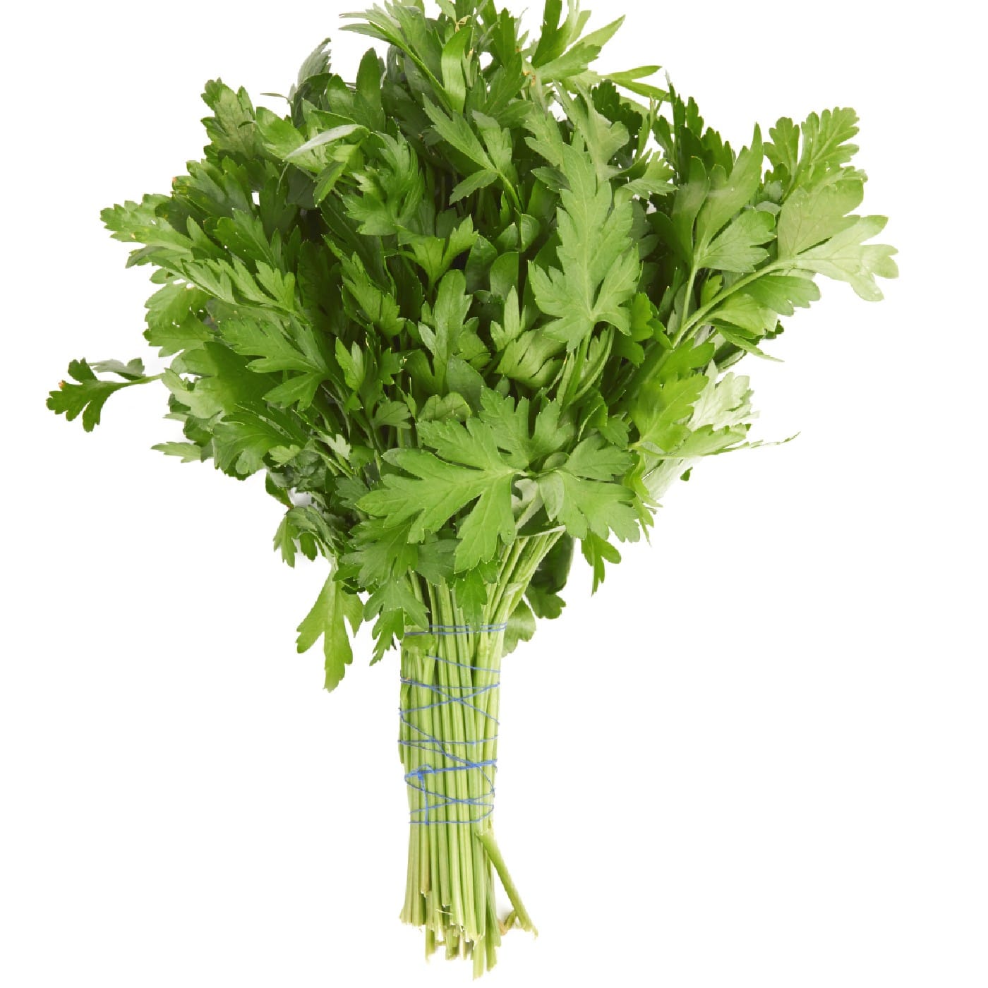 פטרוזיליה אורגנית שקית