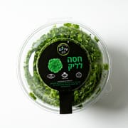 פיקוח הלכתי בנושא חרקים. 1 יח'