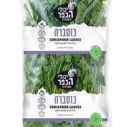 כ-500 ג'