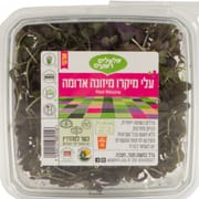 סוג של חרדל אסייתי. מריר מעט. עשירה בנוגדי חימצון ובויטמינים K, A ו-C.