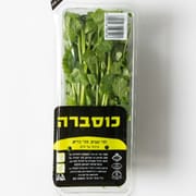 מארז כ-55 ג'. בפיקוח הלכתי בנושא חרקים