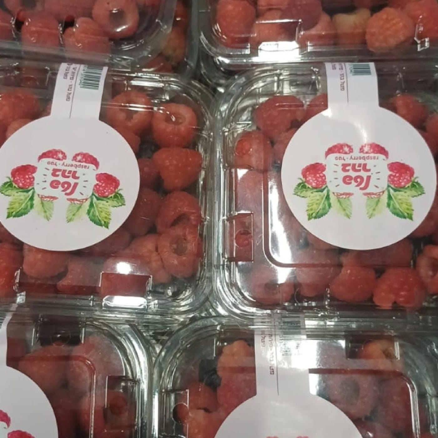פטל אדום ישראלי מארז