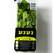 מנטה. מארז כ-55 ג'. בפיקוח הלכתי בנושא חרקים