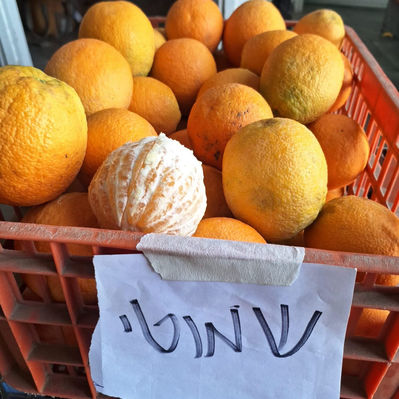 תפוז זן 