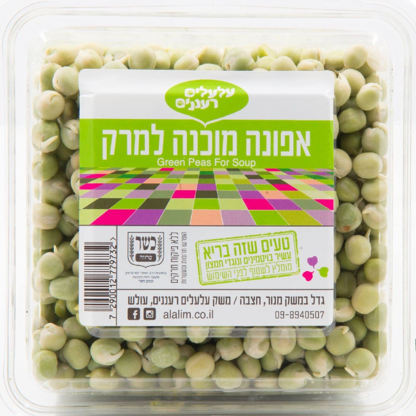 אפונה מונבטת