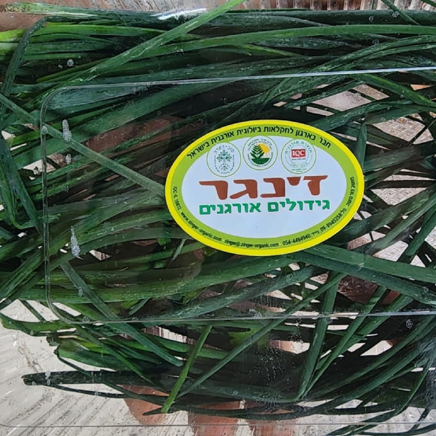 עירית בצלית אורגנית