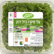 טעם וארומה מרוכזת של ריחן בעלעלים בשרניים בגוון ירוק עמוק או סגול