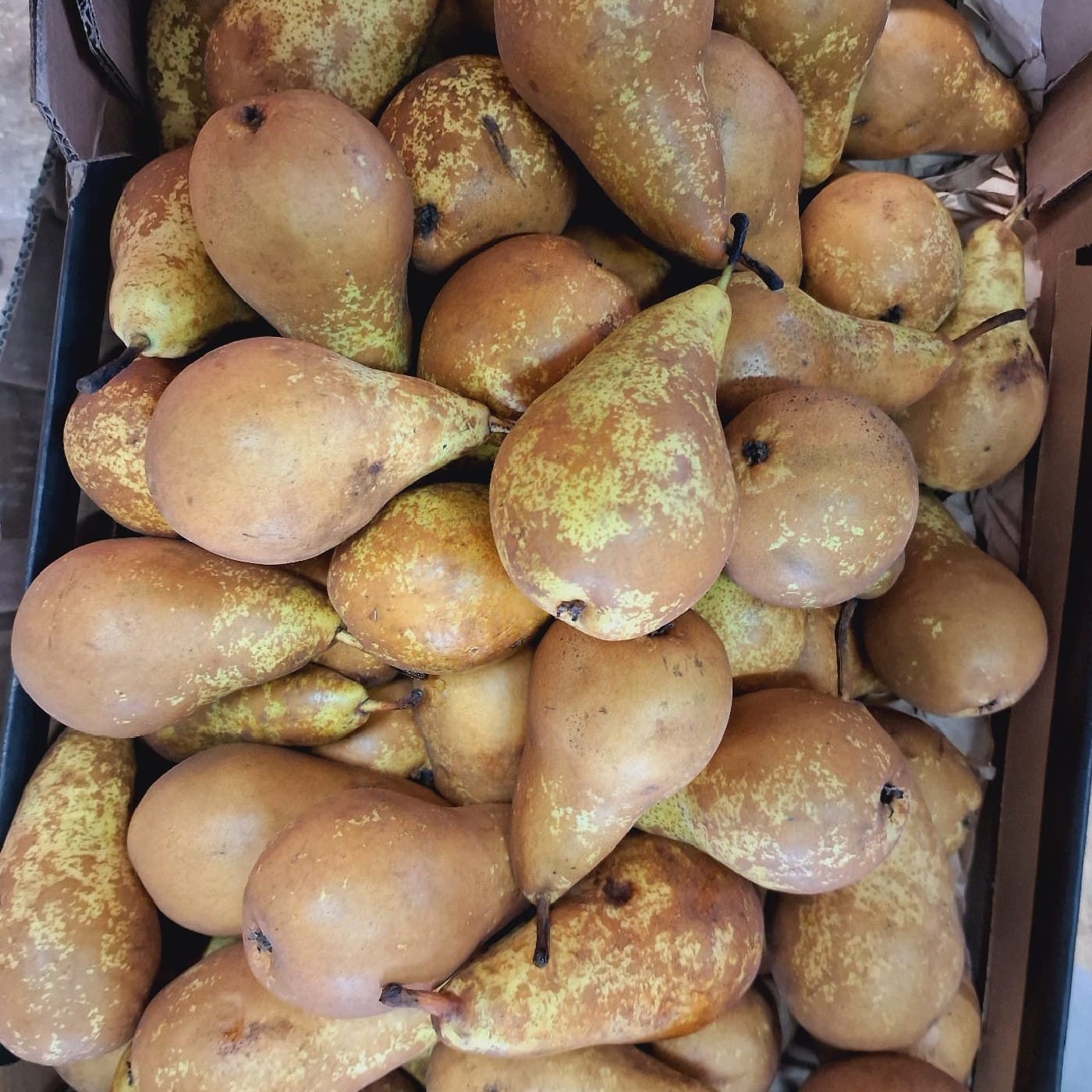 אגסים אורגניים לבישול, אפיה ומיצים