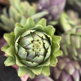 בינוני - קטן